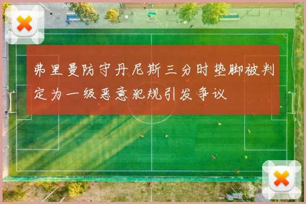 弗里曼防守丹尼斯三分时垫脚被判定为一级恶意犯规引发争议