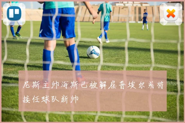 尼斯主帅海斯已被解雇普埃尔或将接任球队新帅