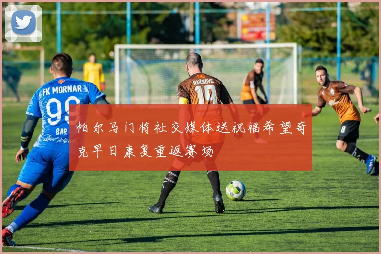 帕尔马门将社交媒体送祝福希望奇克早日康复重返赛场