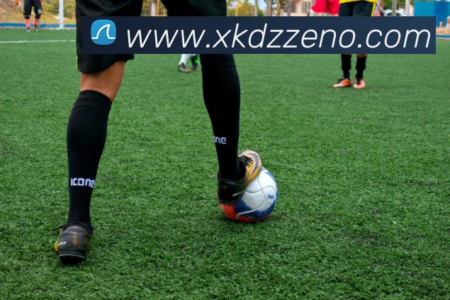 星空电子平台生态图